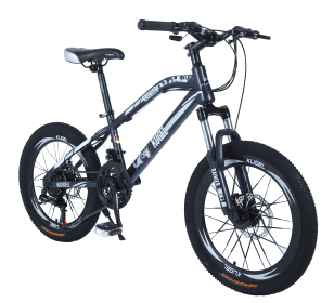 Kids RAINIER MODEL 20&quot;STEEL MTB Bike Black/White