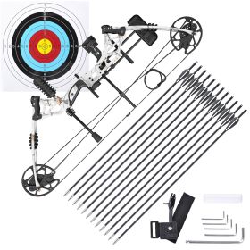 COMPOUND BOW